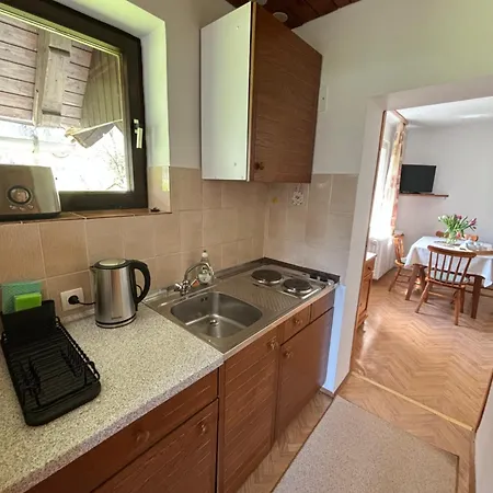 Apartments Skantar Bohinj Exterior photo