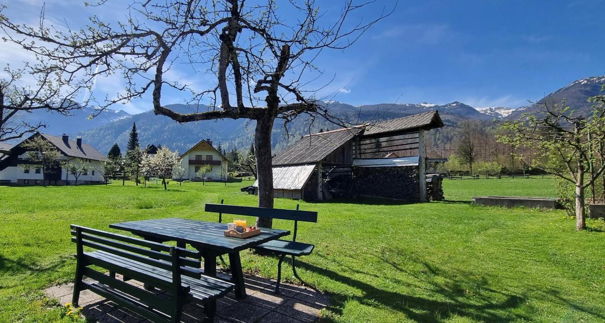 Skantar Apartman Bohinj